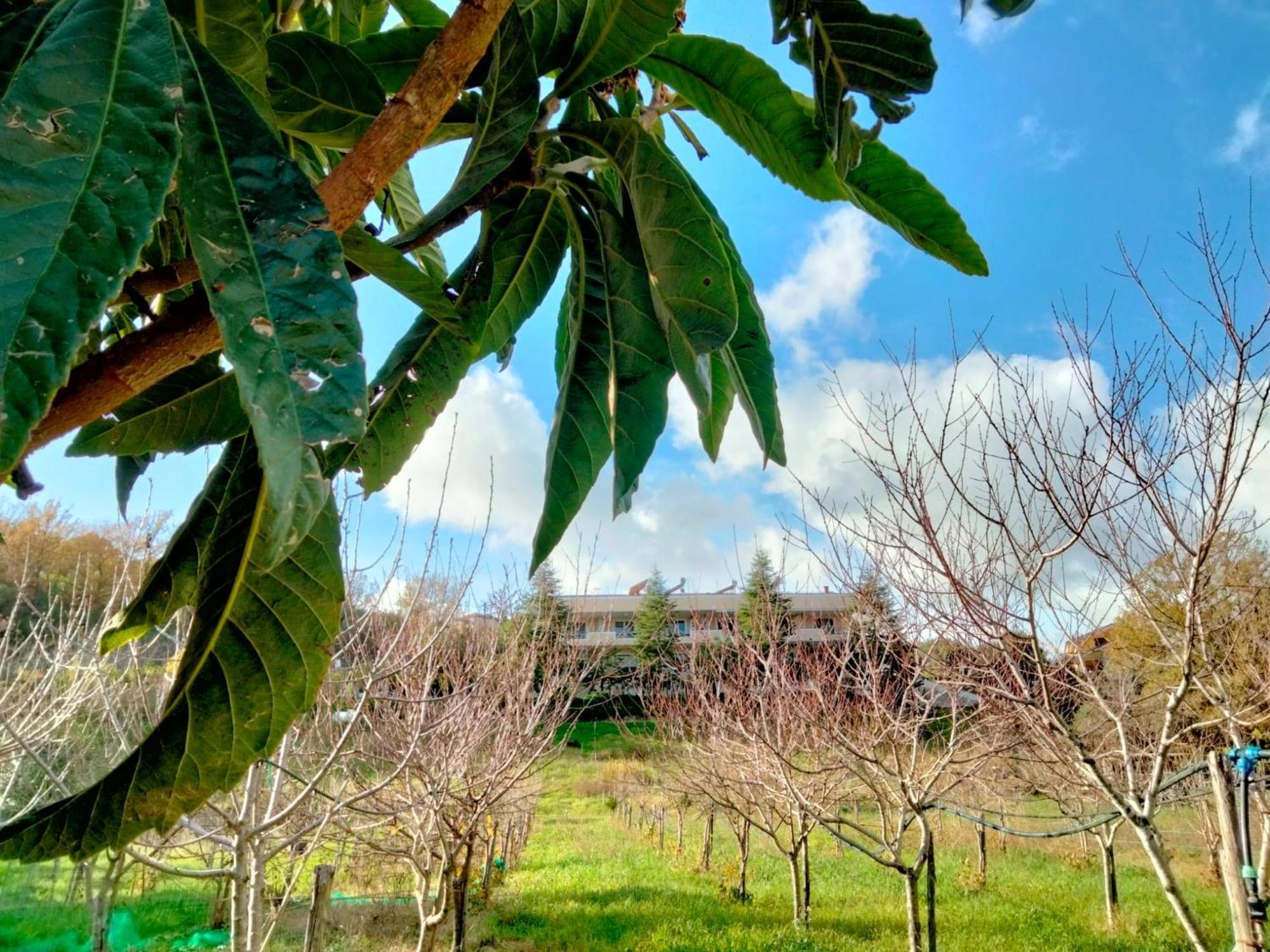 L'oasi Séjour à la ferme